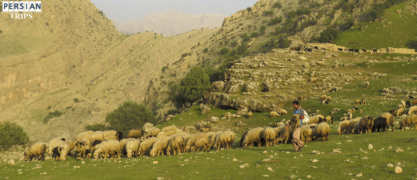media/plg_solidres_experience/images/23da6eee3d452c3c3ea8e61068369229/khuzestan/shimbar/slide/Nomadic-migration-song-12 .jpg